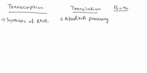 0-e-appropriale-category-occurs-aner-rna-processing-synthesis-of-rna-transcription-translation-boih-amino-acids-are-pined-togelher-nucleotides-are-jomned-together-occurs-in-tne-nucleus-occut-73892