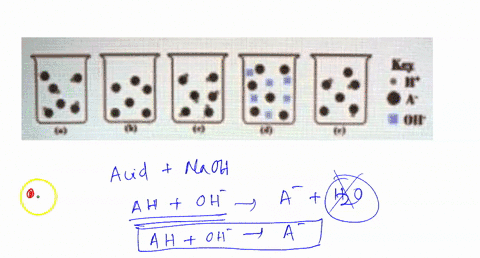 question-details-an-acid-is-titrated-with-naoh-the-following-beakers-are-illustrations-of-the-contents-of-the-beaker-at-various-times-during-the-titration-there-are-presented-out-of-order-wa-51126