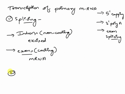 1-make-a-list-of-all-the-steps-in-between-transcription-of-a-primary-mrna-transcript-and-the-amount-of-the-corresponding-protein-that-is-produced-try-to-be-as-complete-as-possible_-and-for-e-40403