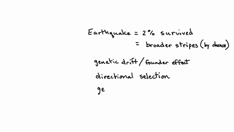 an-earthquake-decimates-ground-squirrel-population-killing-98-of-the-squirrels-the-surviving-population-happens-to-have-broader-stripes-on-average-than-the-initial-population-if-broadness-of-88421