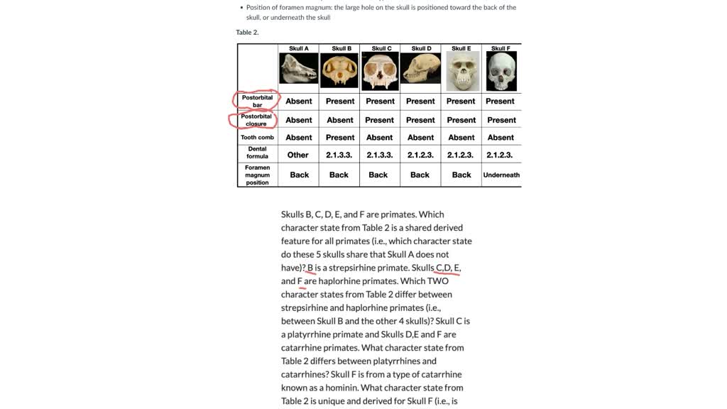 SOLVED Trait description Postorbital bar the bony ring completely