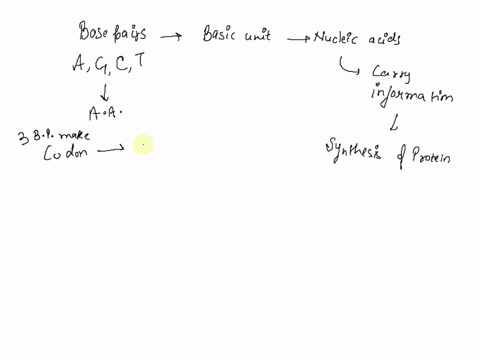 explain-how-a-change-in-a-single-base-pair-can-result-in-a-change-in-the-shape-of-a-protein-21473
