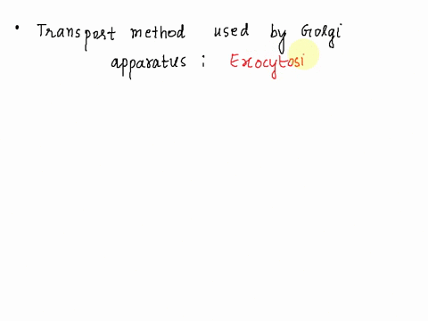 what-transport-method-do-you-think-the-golgi-apparatus-uses-to-ship-packages-of-proteins-out-of-the-cell-95603