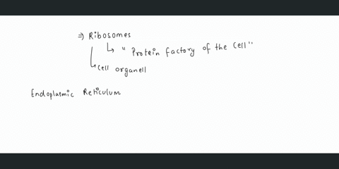 ribosomes-are-composed-of-rrna-and-what-other-component-a-protein-b-carbohydrates-c-dna-d-mrna-14256