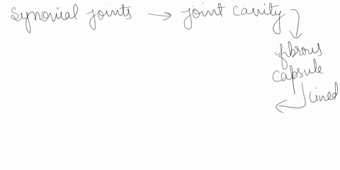 at-a-synovial-joint-the-synovial-membrane-__________-a-forms-the-fibrous-connective-walls-of-the-joi-50884
