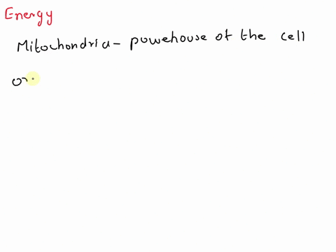 which-of-the-following-types-of-organelle-is-most-important-in-providing-a-cell-with-energy-a-cell-membranes-b-mitochondria-c-nuclei-d-vacuoles-02627