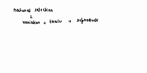 short-answer-format-list-and-briefly-describe-factors-that-contribute-the-phenomenon-of-natural-selection-classic-example-of-selection-in-natural-populations-involves-the-peppered-moth-bisto-44499