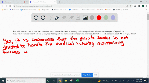 probablywe-tend-not-to-trust-the-private-sector-to-handle-the-medical-industry-maintaining-fairness-without-some-degree-of-regulations-would-that-be-reasonable-would-you-agree-that-regulatio-77532
