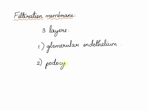 the-filtration-membrane-includes-all-but-question-86-options-a-glomerular-endothelium-b-podocytes-renal-c-fascia-d-basement-membrane-28233