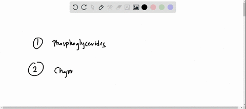 q1-human-bile-contains-all-of-the-following-except-a-glycocholic-acid-c-phosphoglycerides-d-triacylglycerol-e-taurocholic-acid-q2-which-statement-about-protein-digestion-in-the-stomach-and-i-86252