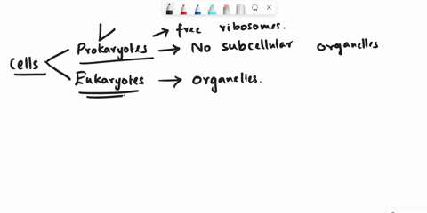 before-the-understanding-of-bacteria-and-archaea-as-distinct-domains-what-characteristics-were-used-to-define-prokaryotes-select-the-cell-components-that-were-believed-to-be-lacking-before-g-19607