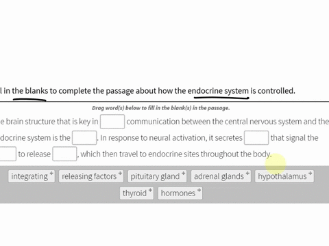 fill-in-the-blanks-to-complete-the-passage-about-how-the-endocrine-system-is-controlled-drag-words-below-to-fill-in-the-blanks-in-the-passage-the-brain-structure-that-is-key-in-communication-26593