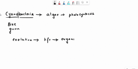 define-cyanobacteria-and-explain-what-role-they-played-in-the-environment-and-the-evolution-of-early-cells-12696