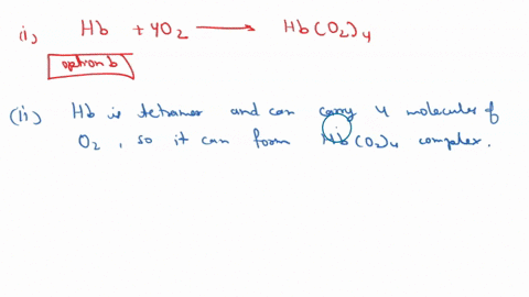 hemoglobin-is-a-protein-that-carries-oxygen-in-the-blood-and-can-be-represented-as-hb-in-your-lungs-hemoglobin-hb-reacts-with-four-oxygen-molecules-4-o2-to-form-hbo24-the-blood-carries-this-10875