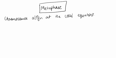 question-3-the-stage-of-mitosis-in-which-chromosomes-are-usually-imaged-in-order-to-generate-karyotype-is-metaphase-telophase-interphase-prophase-anaphase-32276