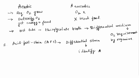 whate-qutaruncd-lhortent-uetteen-arobir-jerobic-ditieria-hcan-dilfcrentiate-why-do-we-use-acio-tast-statninar-wihat-colorall-example-of-an-acid-fast-bacteria-lacid-tast-bacien-whensineur-gnu-64723