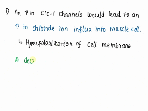 question2-an-increase-in-the-number-of-cic-1-channels-would-be-expected-to-lead-to-o-a-a-decrease-in-muscle-contraction-due-to-hyperpolarization-ba-decrease-in-muscle-contraction-due-to-depo-41558