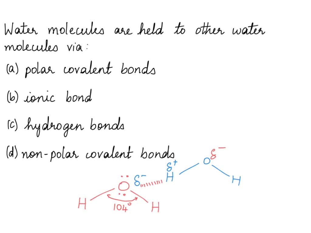 can water form hydrogen bonds with nonpolar molecules