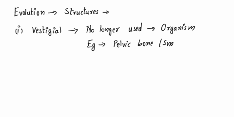 which-line-of-evidence-for-evolution-looks-at-the-presence-of-structures-that-are-no-longer-used-by-an-organism-for-example-the-pelvic-bones-found-in-some-snakes-a-vestigial-structures-b-ata-48342