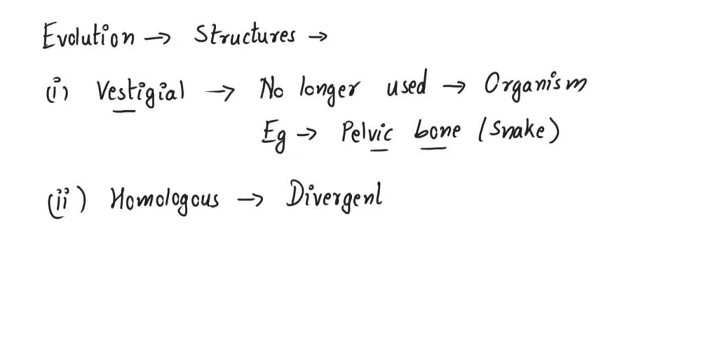 SOLVED: Which line of evidence for evolution looks at the presence of ...
