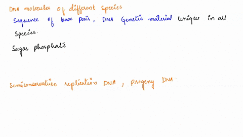 question-1-05-pts-the-dna-molecules-of-different-species-differ-in-their-sequence-of-bases-sugar-phosphate-backbone-no-answer-text-provided-type-of-nucleotides-05-pts-question-2-replicationo-74783
