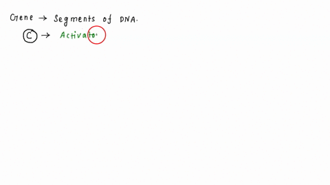 gene-x-is-produced-in-brain-cells-but-not-heart-cells-which-of-the-following-best-explains-why-single-choice-a-gene-x-is-located-within-heterochromatin-in-brain-tissue-and-within-euchromatin-81687