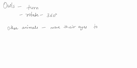 name-the-bird-which-can-rotate-his-head-at-360-degree-36468
