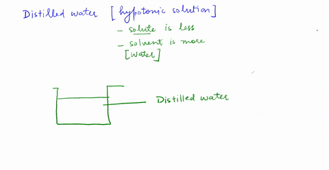 a-plant-cell-placed-in-distilled-water-will-____-an-animal-cell-placed-in-distilled-water-will-____-54548