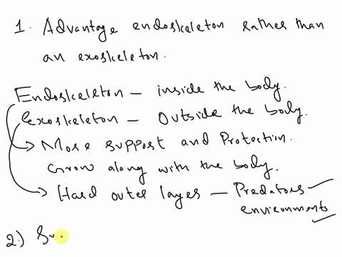 what-advantage-might-there-be-in-having-an-internal-skeleton-endoskeleton-rather-than-an-exoskeleton-why-would-it-be-advantageous-to-have-a-swim-bladder-looking-at-your-animal-cladogram-part-62958