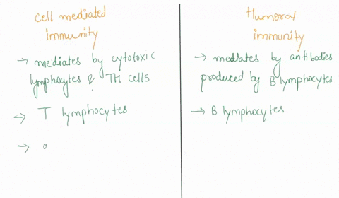 11-describe-the-difference-between-cell-mediated-and-humoral-immunity-include-in-your-answer-cell-or-tissues-involved-as-well-as-messengers-or-hormones-that-may-influence-the-cell-or-humoral-32261