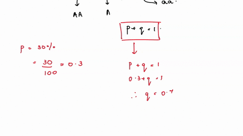 in-a-population-of-800-people-if-p-30-what-are-the-expected-numbers-of-individuals-with-the-genotypes-tt-tt-and-tt-chp-4-answers-should-only-be-the-number-hw-equation-p2-2pq-q2-1-genotype-tt-57154