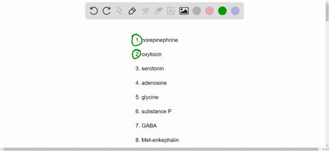which-of-the-following-belong-to-the-class-of-neurotransmitters-called-neuropeptides-more-than-one-answer-is-possible-norepinephrine-oxytocin-serotonin-adenosine-glycine-substance-p-gaba-met-76654