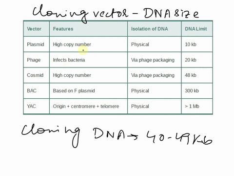 a-vector-specifically-designed-for-cloning-40-49-kb-dna-fragment-is-a-plasmid-b-phagmid-c-cosmid-d-bac-09445