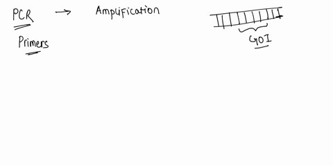 what-determines-which-part-of-the-dna-gets-copied-and-amplified-during-pcr-a-the-temperature-of-the-reaction-b-the-dna-primers-c-the-mrna-molecules-d-the-taq-dna-polymerase-93795