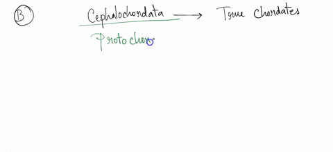 based-on-the-notion-of-shared-derived-characters-the-origin-of-which-trait-could-be-indicated-by-the-letter-b-echinodermata-cephalochordaia-lancelets-urochordaia-lunicales-myxini-haglishes-p-47995