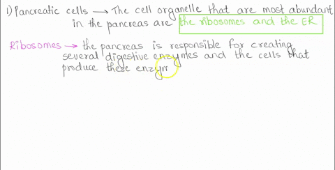 our-cells-have-different-structures-different-sizes-shapes-and-content-some-cells-such-as-muscle-cells-have-more-mitochondria-then-others-because-they-need-more-of-this-organelle-to-perform-92516