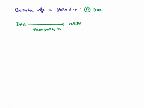 the-genetic-information-is-stored-in-a-dna-b-rna-c-ribosome-d-endoplasmic-reticulum-49864