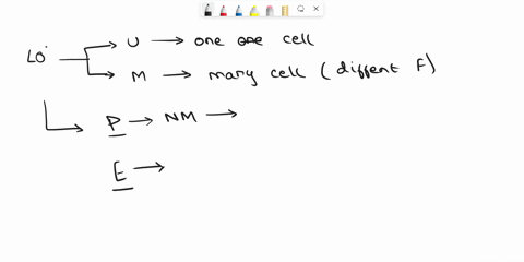 why-can-prokaryotic-population-numbers-be-magnitudes-larger-than-populations-of-multicellular-eukaryotes-prokaryotes-have-cell-walls-made-of-cellulose-and-short-generation-times-prokaryotes-66888