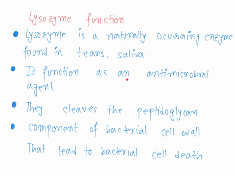 lysozyme-a-breaks-down-bacterial-cell-walls-peptidoglycans-b-is-a-cycloplasmic-organelle-c-activates-complement-d-is-a-proteolytic-enzyme-secreted-by-cytotoxic-t-cells-e-is-released-by-mast-81917