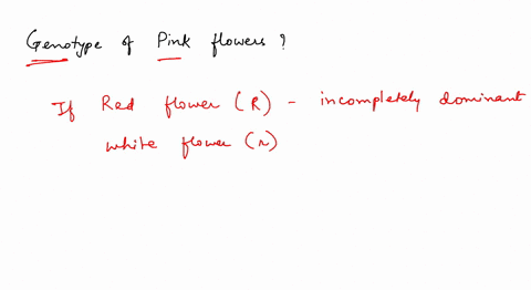 if-red-flower-color-r-is-incompletely-dominant-to-white-flower-color-r-then-what-is-the-genotype-of-pink-flowers-oa-the-genotype-cannot-be-determined-b-rr-c-the-genotype-depends-on-the-genot-56506