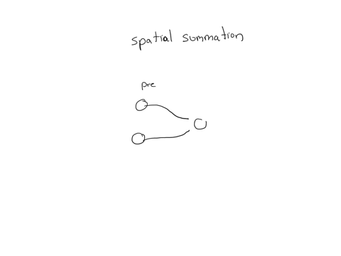 how-summation-works-in-a-cell-that-is-receiving-multiple-inputs-from-several-different-neurons