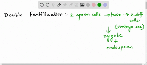 what-is-double-fertilization-describe-the-process-in-brief-79818