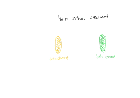 harlows-infant-monkeys-developed-____-to-their-artificial-cloth-mothers-a-an-attachment-b-a-sense-of-indifference-to-c-a-fear-of-d-aggressive-responses-to