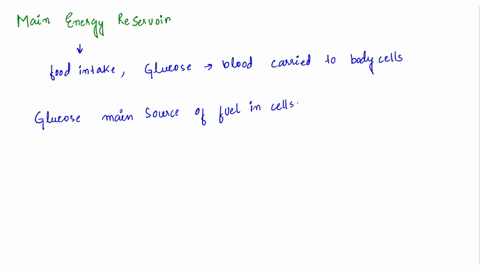 your-bodys-main-energy-reservoir-is-_______-a-glycogen-stored-in-cardiac-muscle-b-lipids-stored-in-a-92784