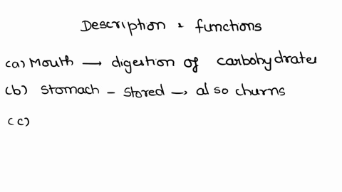 match-the-following-strictures-with-the-description-mouth-and-functions-liver-stamncl-copharus-anccne-calon-small-intcstine-ballbladder-muscuiac-whc-dcnecm-pharynx-sromuch-the-largest-intern-05907