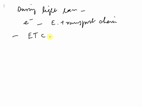 during-the-light-reactions-of-photosynthesis-the-excited-electrons-are-passed-to-an-electron-transport-chain-if-there-is-not-an-electron-transport-chain-available-to-accept-the-electrons-wha-23526