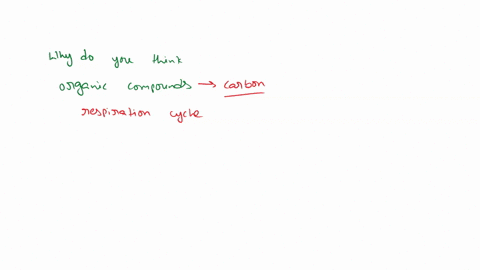 21-why-do-you-think-these-kinds-of-organic-compounds-are-very-important-5pts-64589