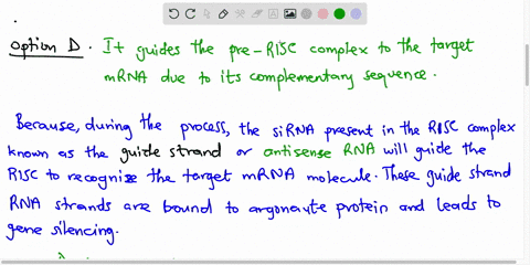 question-6-what-appears-to-be-the-specific-role-of-the-antisense-sirna-strand-in-destruction-of-its-target-mrna-a-it-activates-drosha-b-it-stabilizes-the-target-mrna-il-disassembles-the-risc-24008