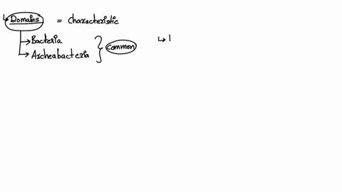 please-help-me-which-characteristic-describes-both-the-domain-bacteria-and-the-domain-archaea-a-multicellular-organisms-only-b-unicellular-and-multicellular-organisms-c-eukaryotic-and-prokar-89655