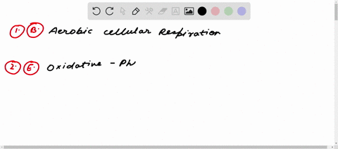 the-atp-generating-metabolic-process-whereby-one-organic-compound-the-energy-source-serves-as-a-donor-of-electrons-and-another-organic-compound-play-as-electron-acceptor-is-formally-called-a-67216